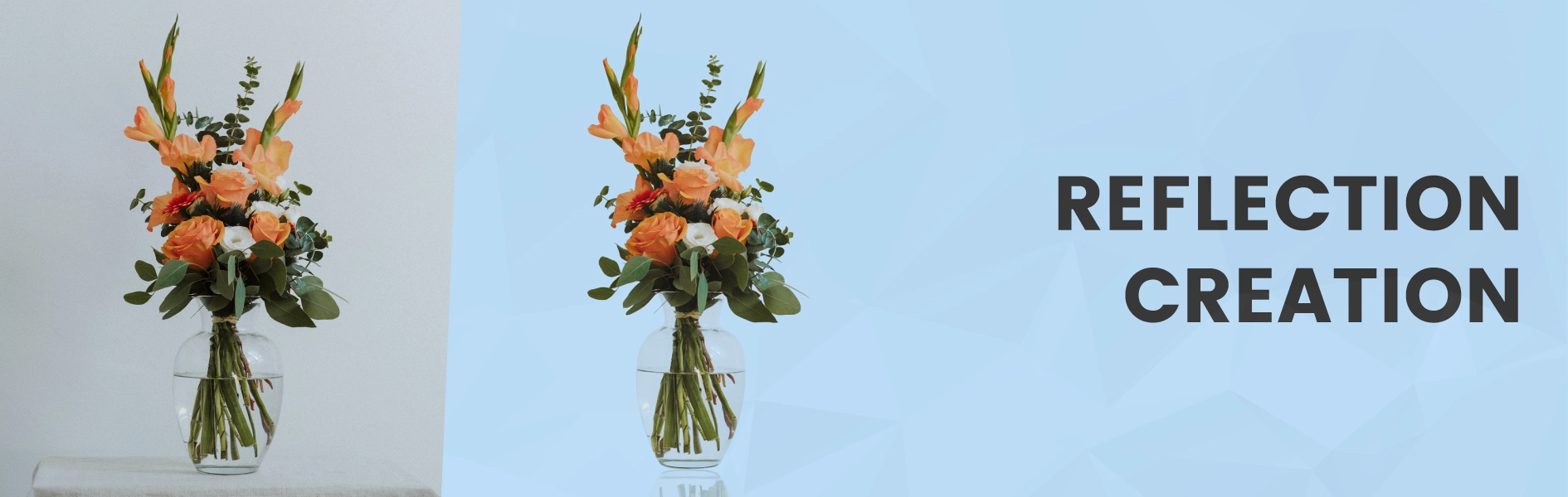 1707996801_Reflection-Creation_Silder01